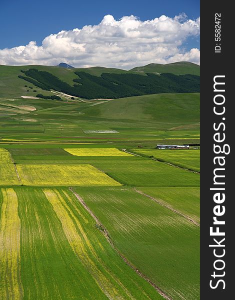 Summer landscape in Castelluccio