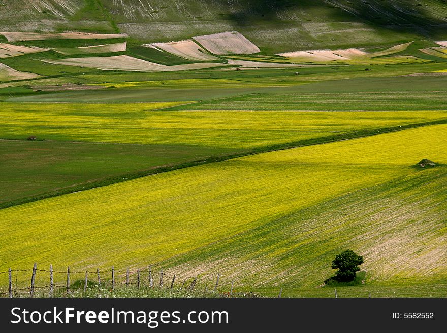 Summer landscape captured near Castelluccio di Norcia - Umbria - Italy. Summer landscape captured near Castelluccio di Norcia - Umbria - Italy