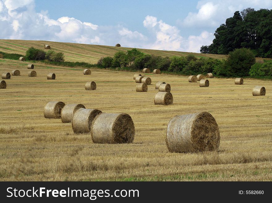 Idyllic picture of straw rolls just after the crop harvest