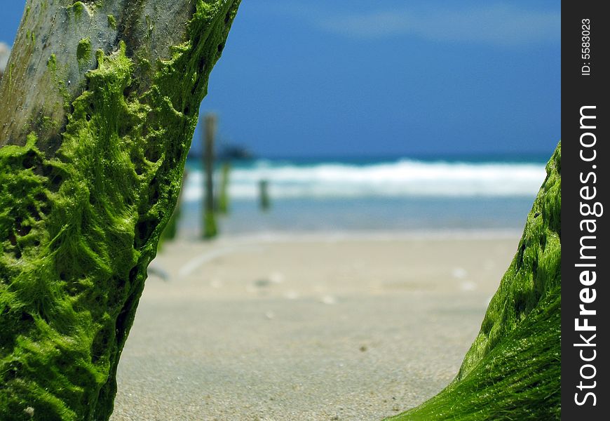 Cam Ranh beach, everything what left from all wooden pier. Cam Ranh beach, everything what left from all wooden pier