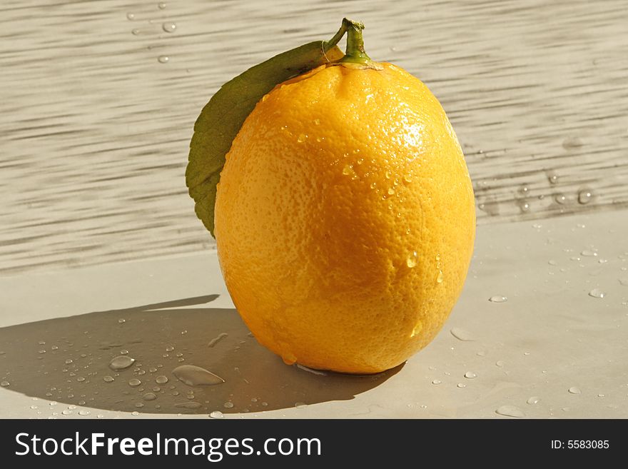 Single lemon on a grey background. Single lemon on a grey background