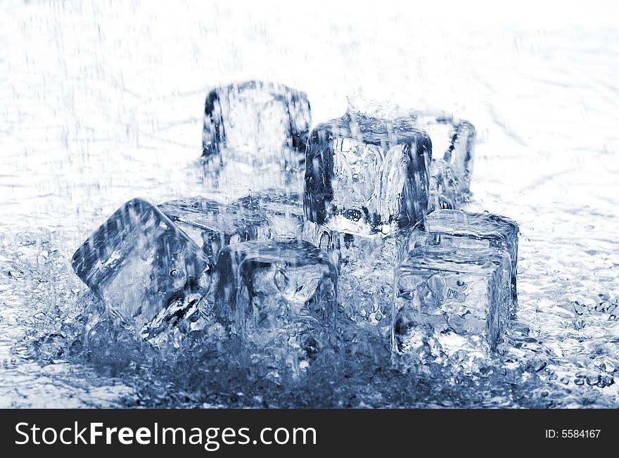Melting ice cubes in water on white background. Melting ice cubes in water on white background