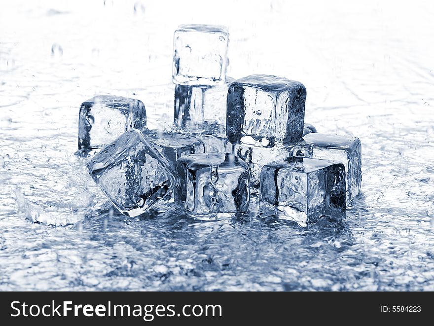 Melting ice cubes in water on white background. Melting ice cubes in water on white background