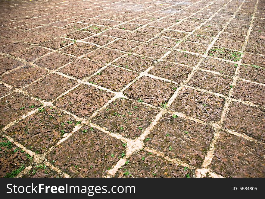A floor made of tiles from fossilized coral. A floor made of tiles from fossilized coral