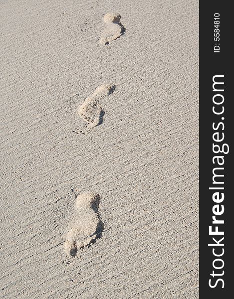 Footprints on the beach in the Bahamas. Footprints on the beach in the Bahamas
