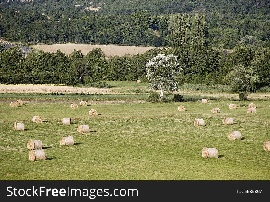 Landscape in Provence, France, europe