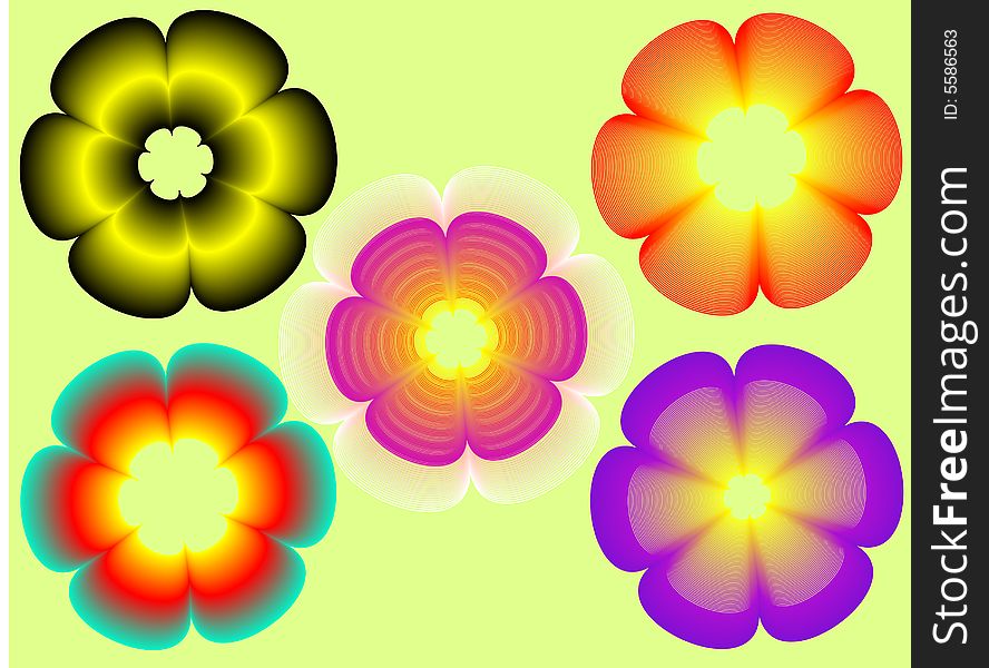 Vector illustration-5 flowers abstract color. Vector illustration-5 flowers abstract color