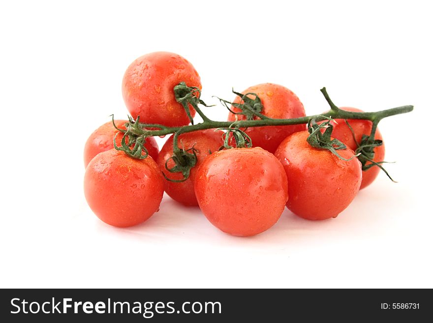 Tomatoes on the white background