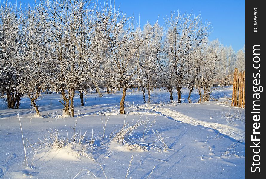 Beautiful rural winter snow landscape. Beautiful rural winter snow landscape