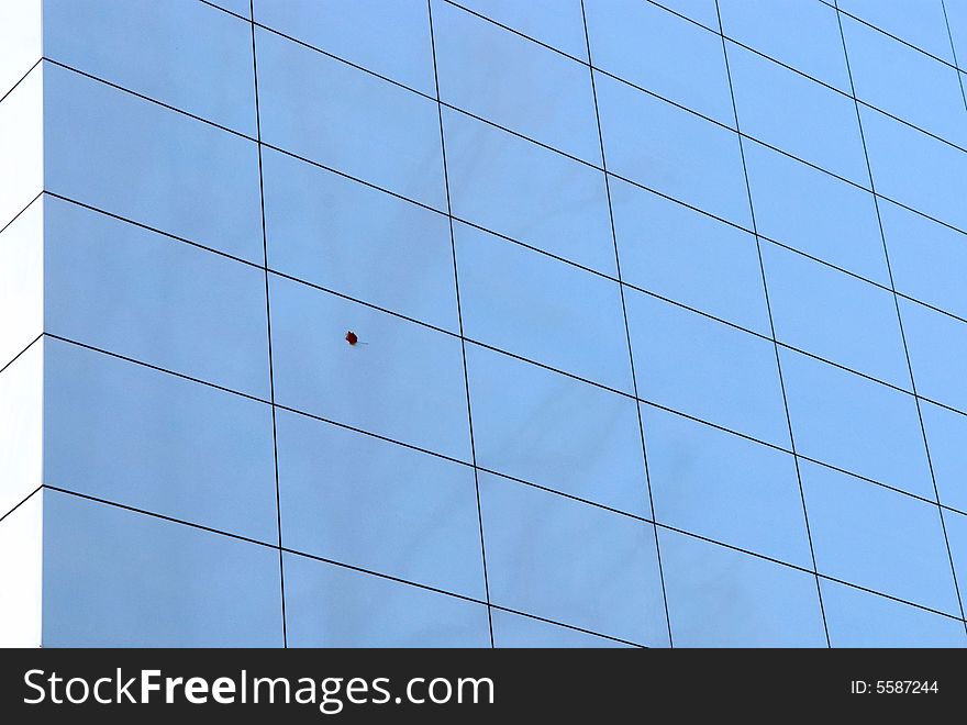 Maple-leaf on the wall of sky-scraper