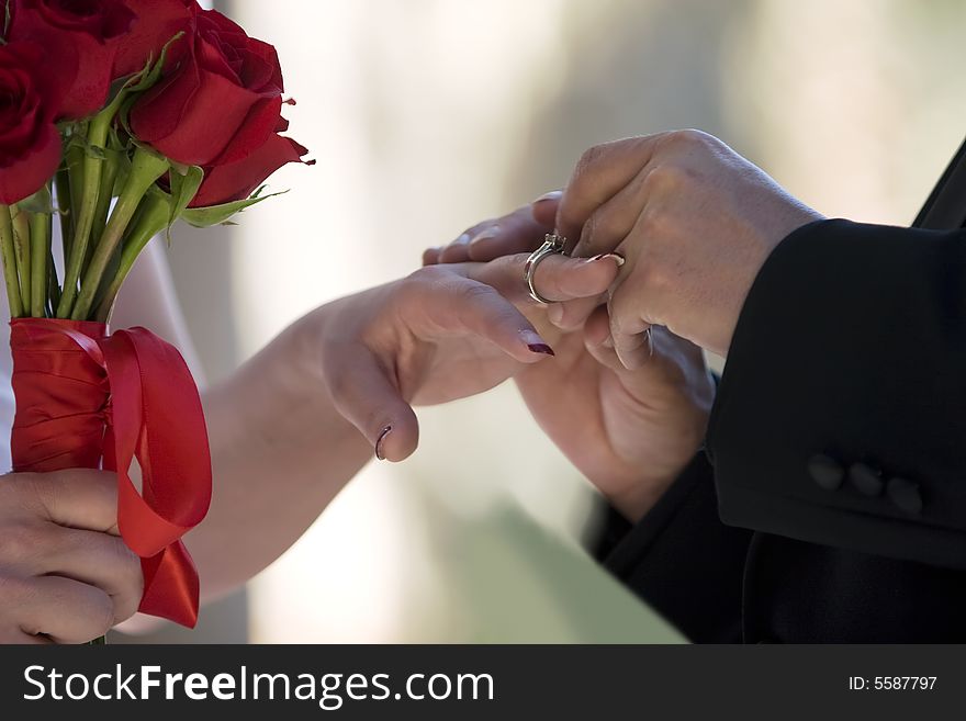 Groom placing a ring on a bride's finger. Groom placing a ring on a bride's finger