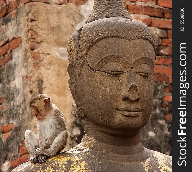 A monkey sitted on Buddha in the lopburi's khmer temple in thailand. A monkey sitted on Buddha in the lopburi's khmer temple in thailand.