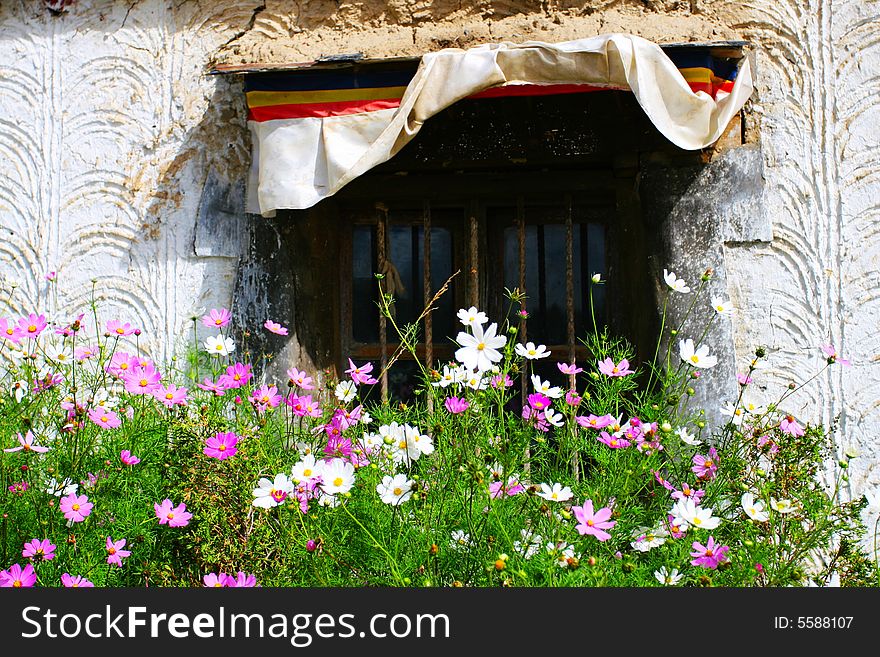 The window with some flowers .shoot it in tibet