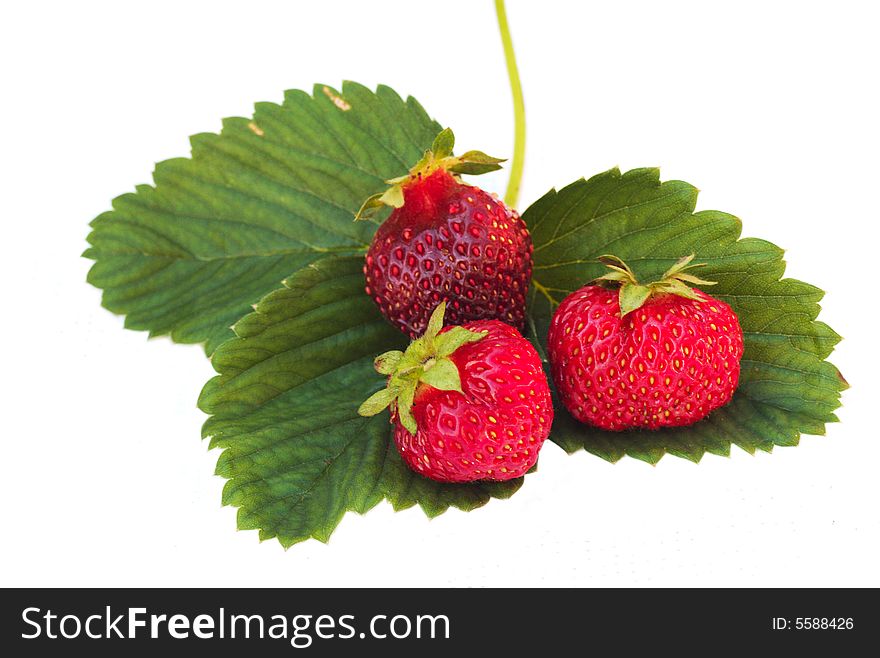 Three berries of a strawberry on a white background