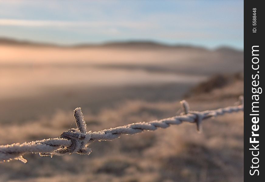 A frosty barbed wire in New Zealand at sunrise