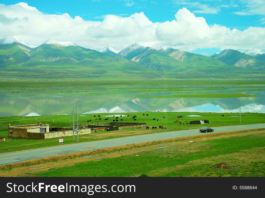 The road of tibet