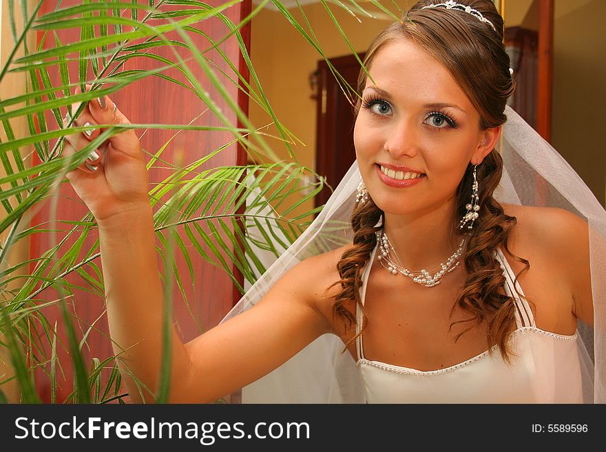 Bride poses in wedding dress. Bride poses in wedding dress