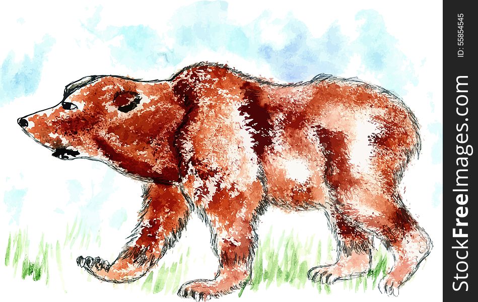 Watercolor painting of brown bear, hand drawn illustration. Watercolor painting of brown bear, hand drawn illustration.