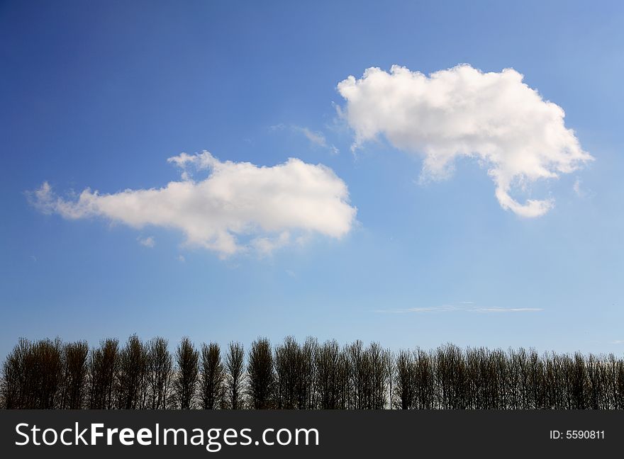 Trees with clouds and blue sky