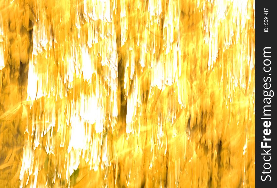 Blurry tree with summer leaves