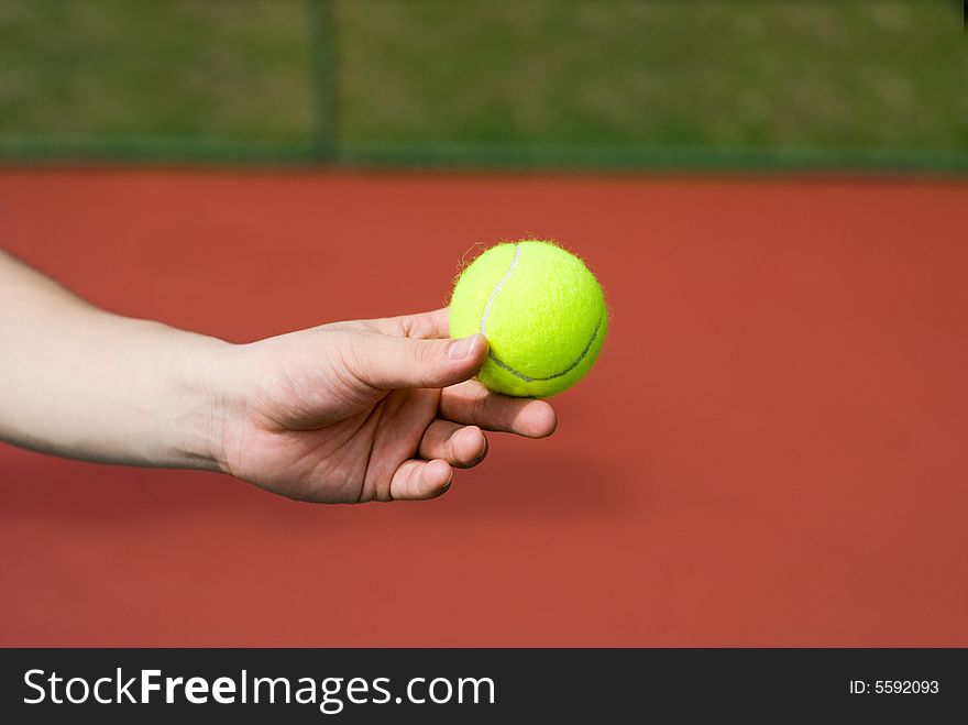 A male player is holding a fresh green tennis ball at the tennis court. The color of the ball is very contrast to the background.