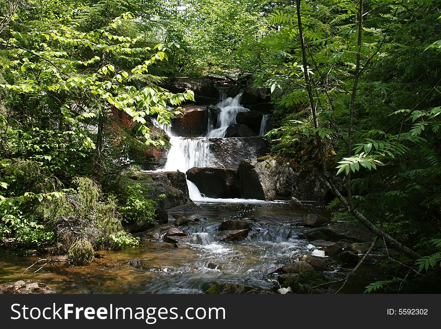 A beautiful waterfalls in forest. A beautiful waterfalls in forest