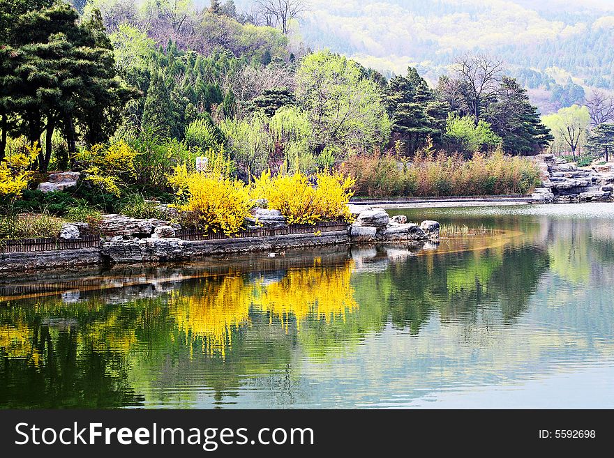 It is photoed in the arboretum, Beijing, China. It is photoed in the arboretum, Beijing, China.