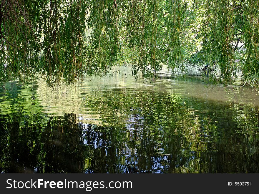 Regent's Park, London - 16