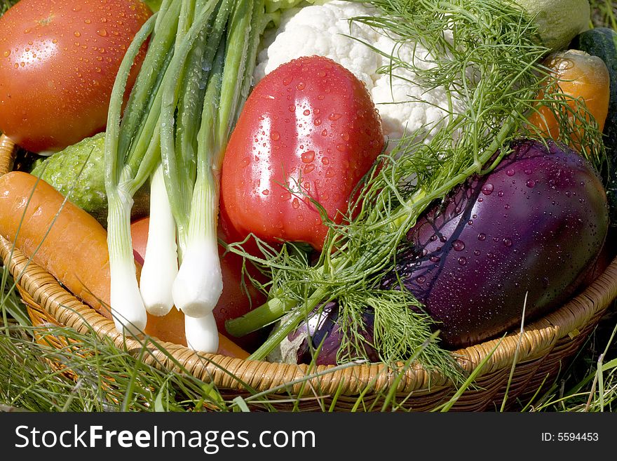 Basket with vegetables on green grass