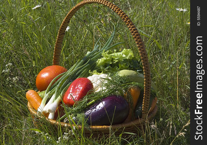 Basket with vegetables on green grass