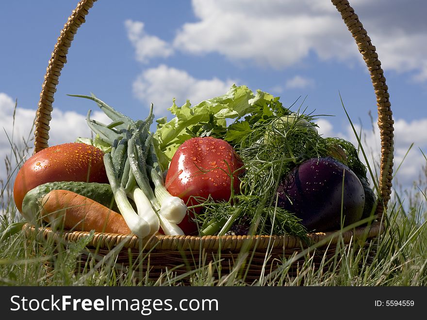 Basket with vegetables