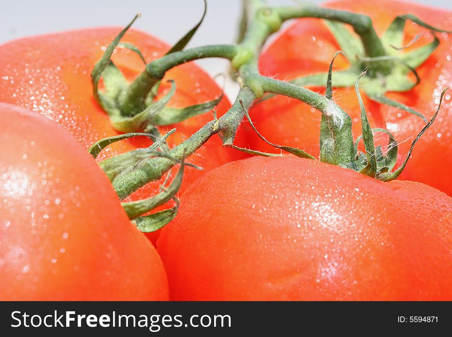 Tomatoes on a vine set on a rock