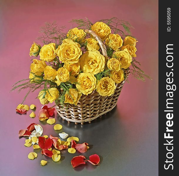 Basket with yellow roses and petals. Basket with yellow roses and petals