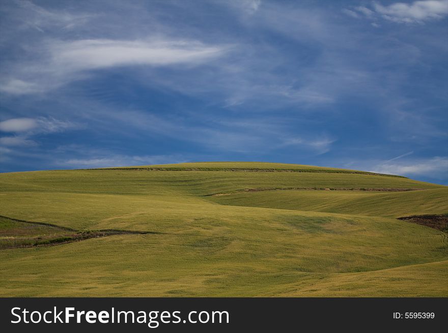 A hill full of green in central Oregon. A hill full of green in central Oregon