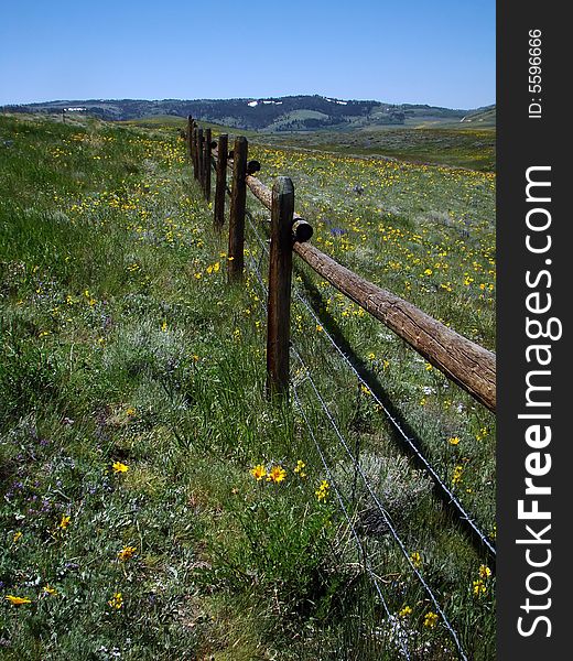 Vertical view of fenceline running through field of wildflowers in alpine meadow in the springtime