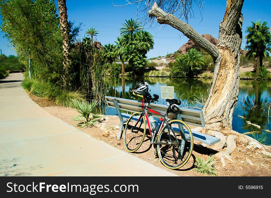 Bicycle And Park Bench