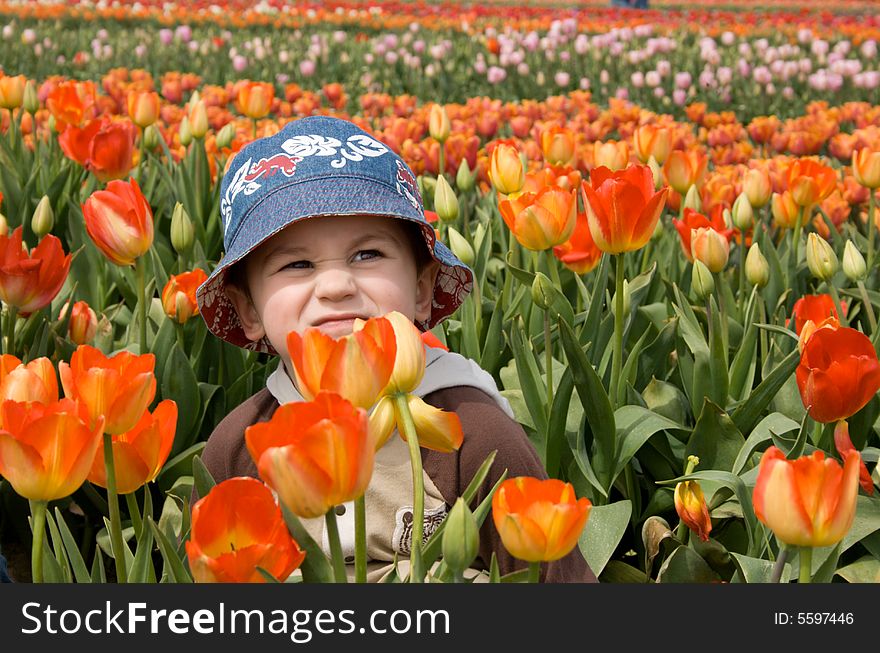 Little Boy In Tulips