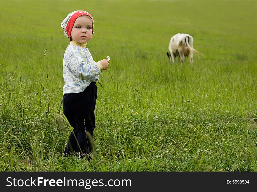 An image of a baby in the field