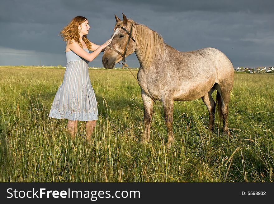 The girl caress a horse on a meadow. The girl caress a horse on a meadow