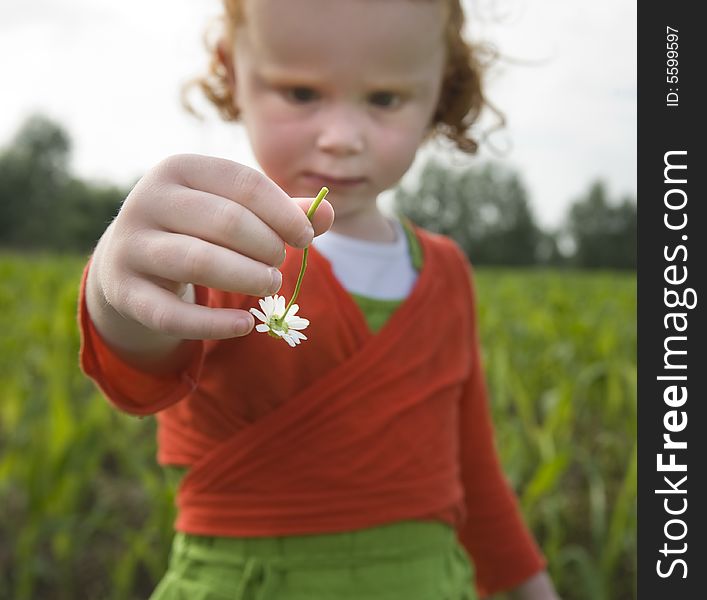 Little girl looking curiously at flower. Little girl looking curiously at flower