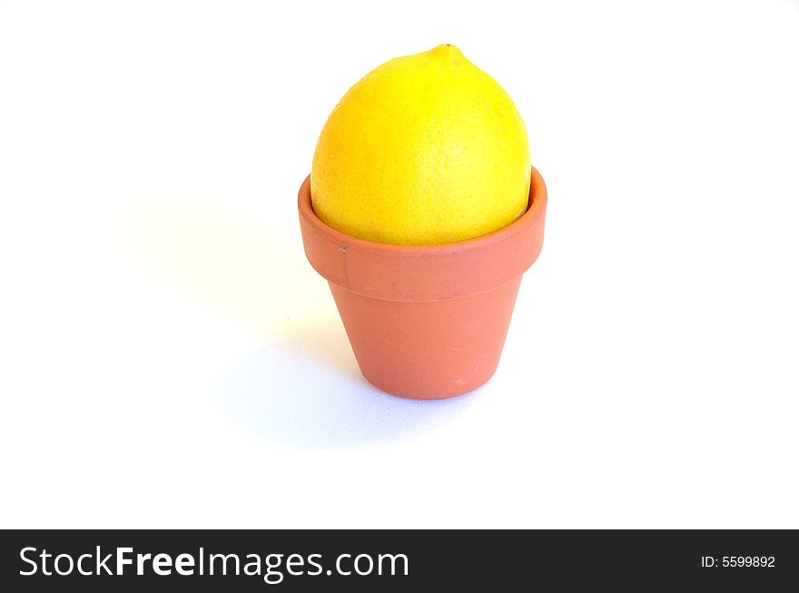 Lemon sitting in miniature terracotta pot. Lemon sitting in miniature terracotta pot