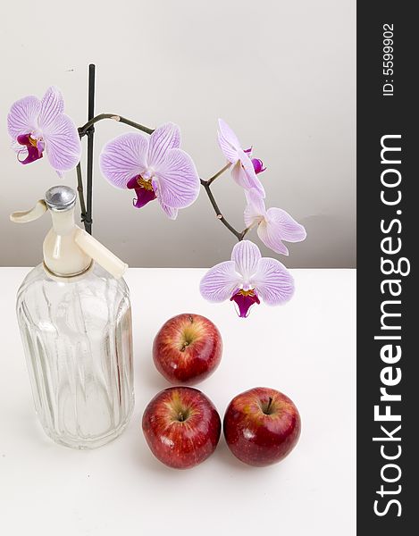 Still nature with orchids and apples