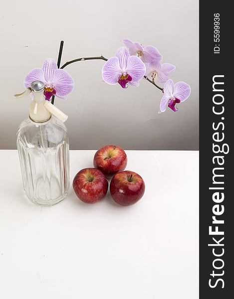 Still nature with orchids and apples
