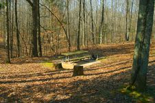 Picnic Table In Deep Woods Royalty Free Stock Images