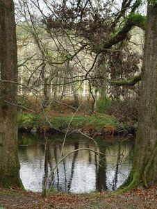 The Dart River Royalty Free Stock Photography The Dart River Royalty Free Stock Photography