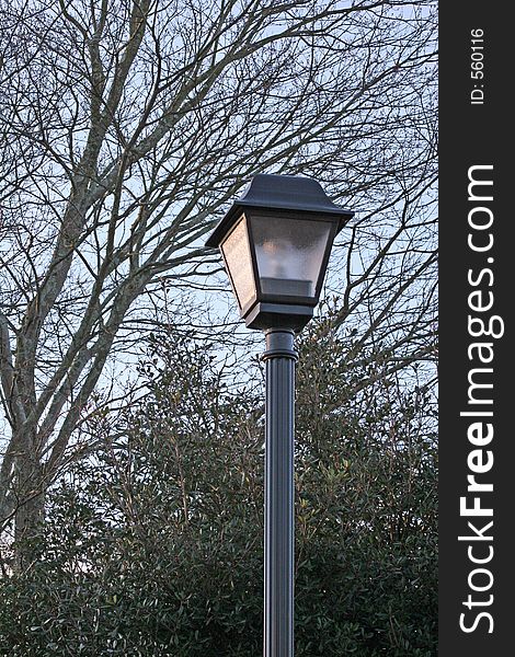 Lamppost against bare trees in park. Lamppost against bare trees in park