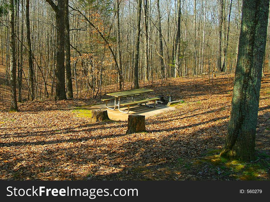 A lone picnic table in the deep Tennessee woods surrounded by autumn leaves and deep shadows. A lone picnic table in the deep Tennessee woods surrounded by autumn leaves and deep shadows.