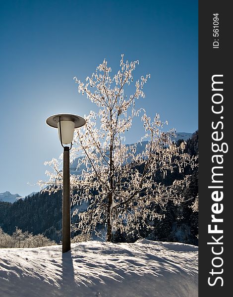 Lamp-post and tree in winter with blue sky. Lamp-post and tree in winter with blue sky