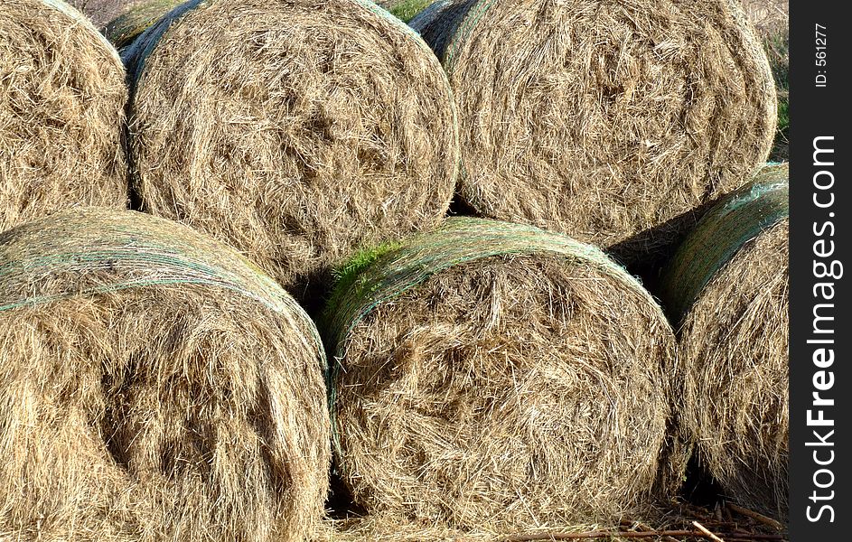 A number of haybales stacked in the sun. A number of haybales stacked in the sun