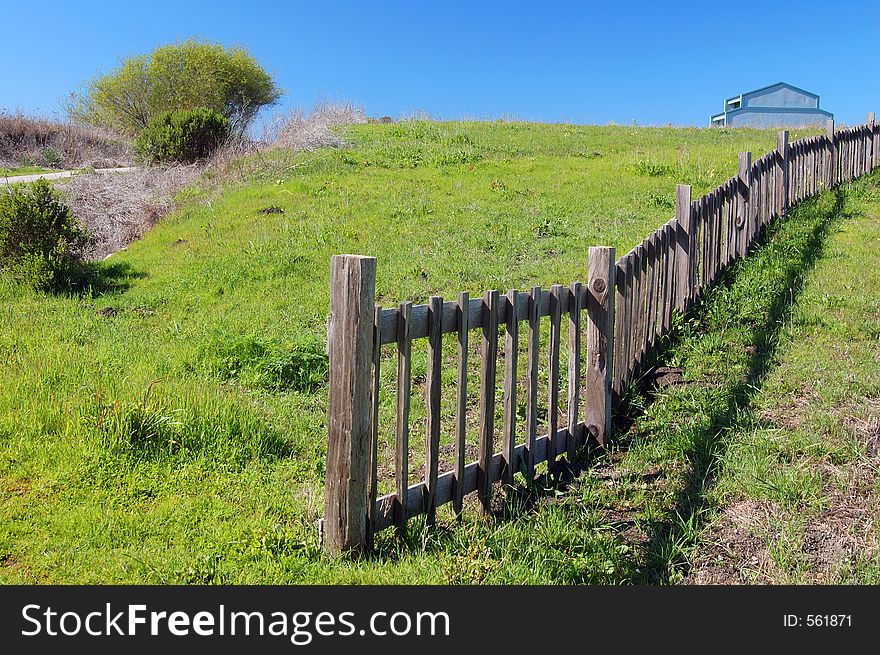 Springtime Coastal Meadow